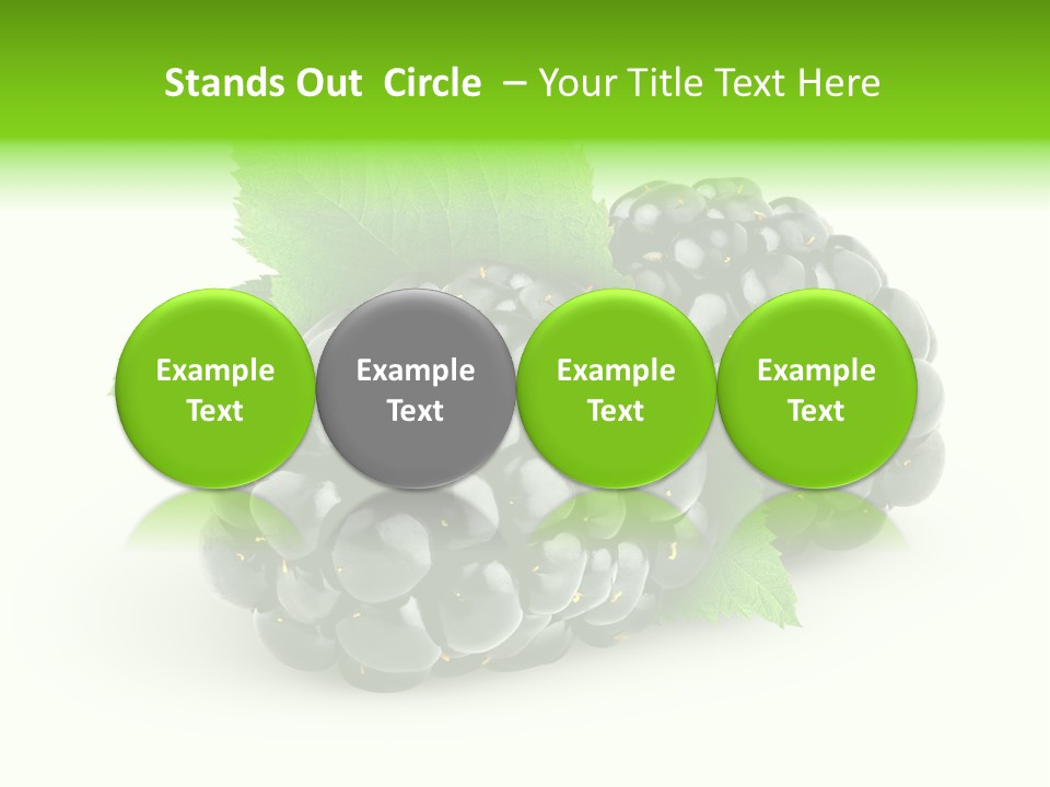 Juicy Healthy Dewberry PowerPoint Template