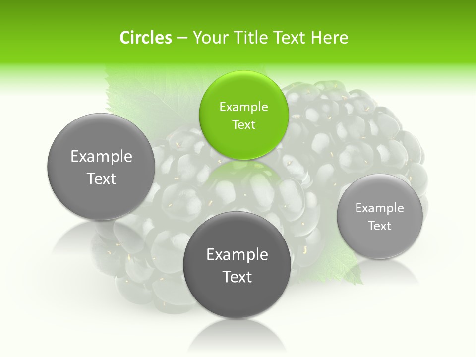 Juicy Healthy Dewberry PowerPoint Template