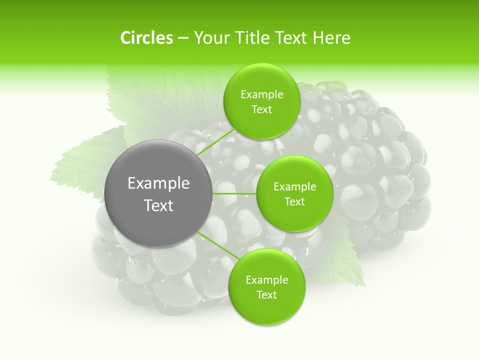 Juicy Healthy Dewberry PowerPoint Template