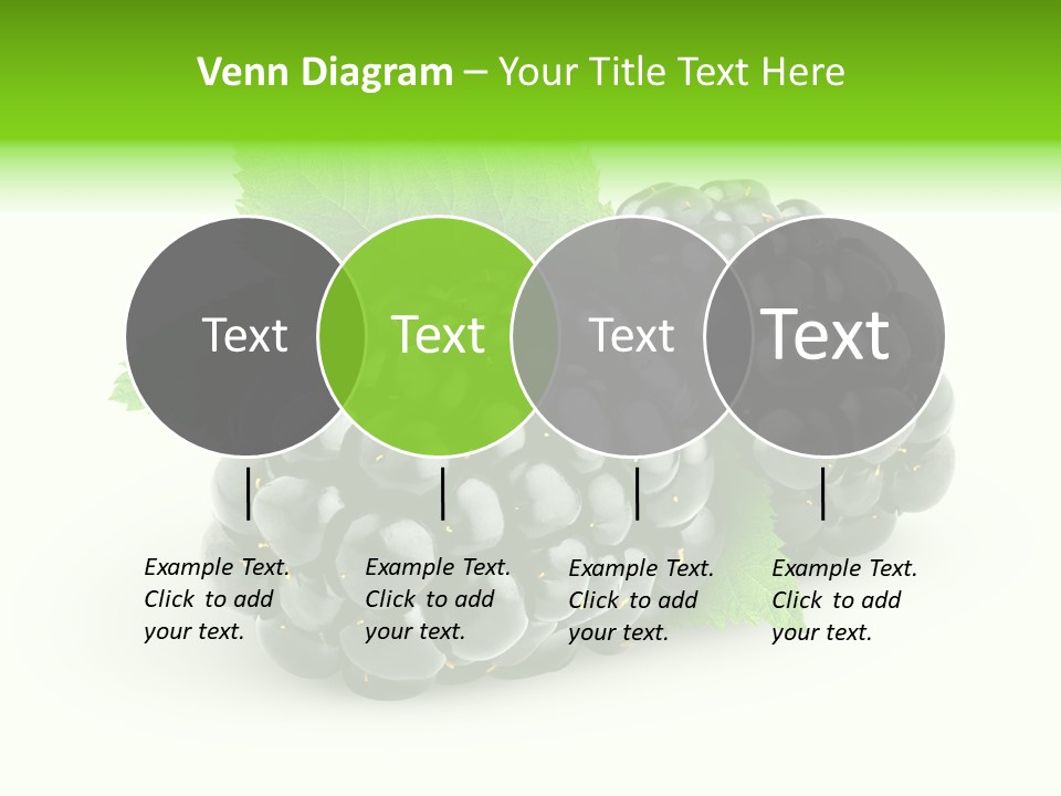 Juicy Healthy Dewberry PowerPoint Template