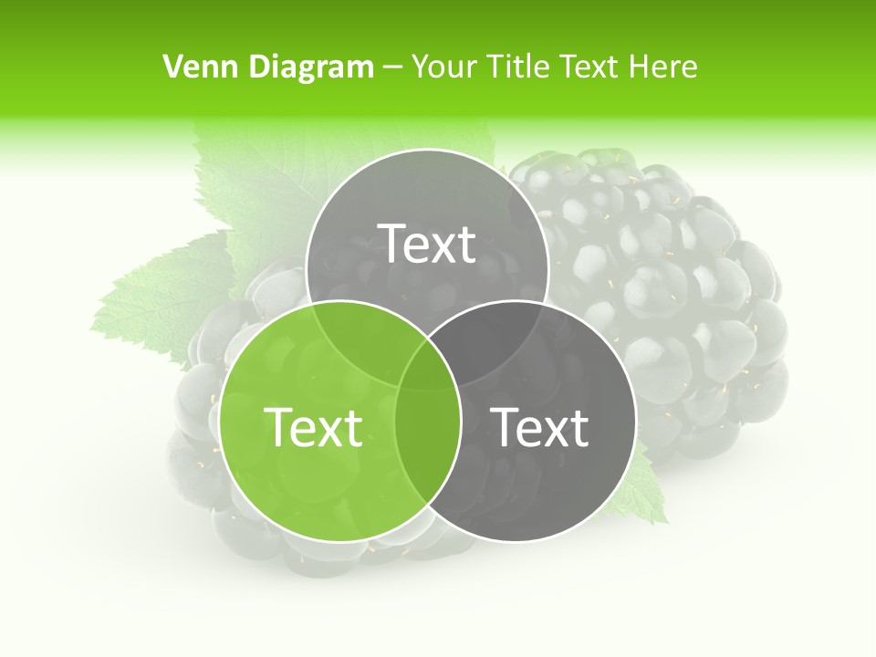 Juicy Healthy Dewberry PowerPoint Template
