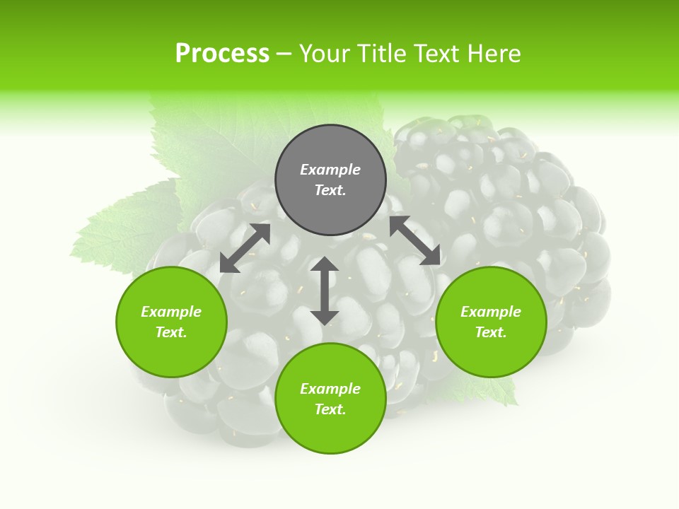 Juicy Healthy Dewberry PowerPoint Template