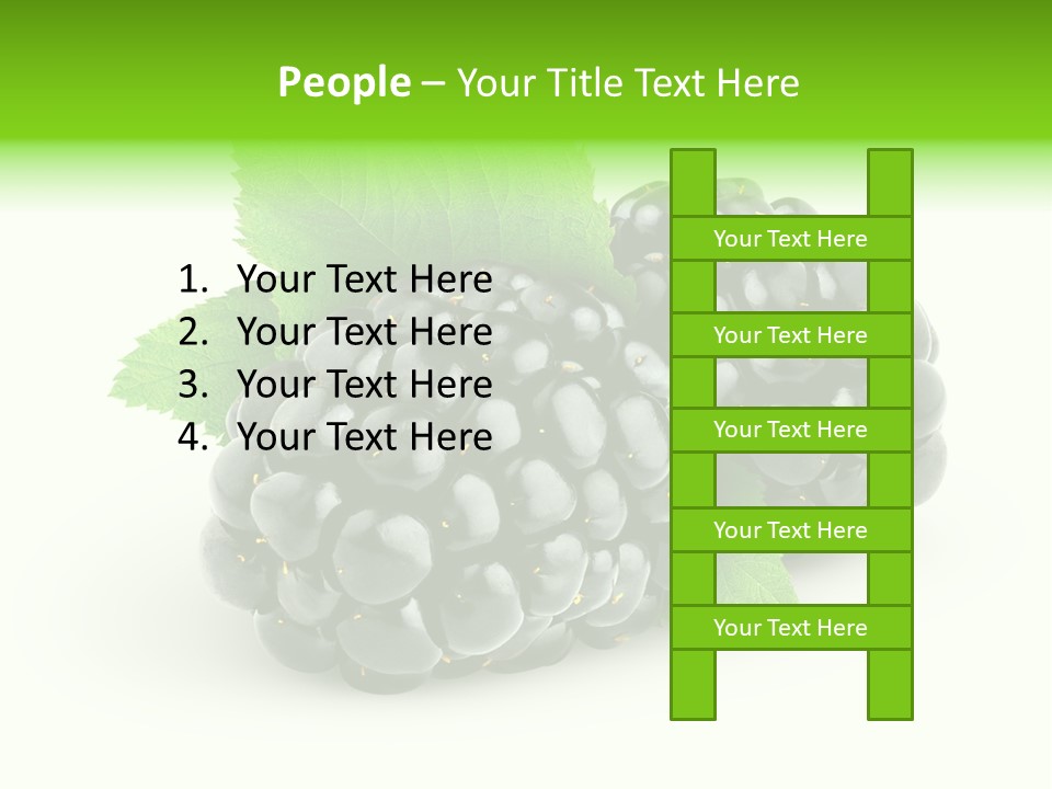 Juicy Healthy Dewberry PowerPoint Template