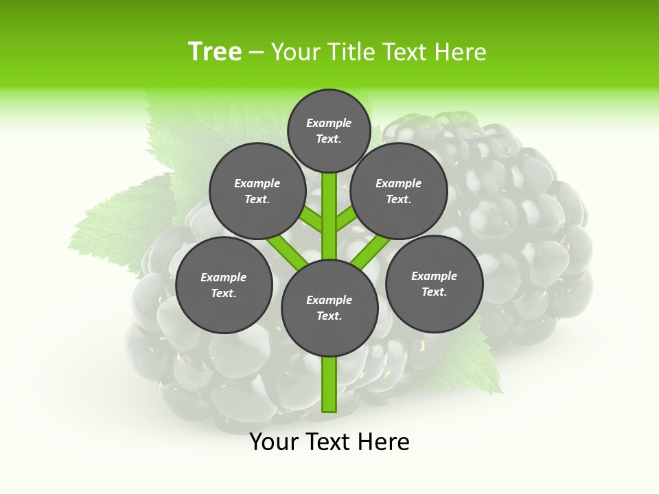 Juicy Healthy Dewberry PowerPoint Template
