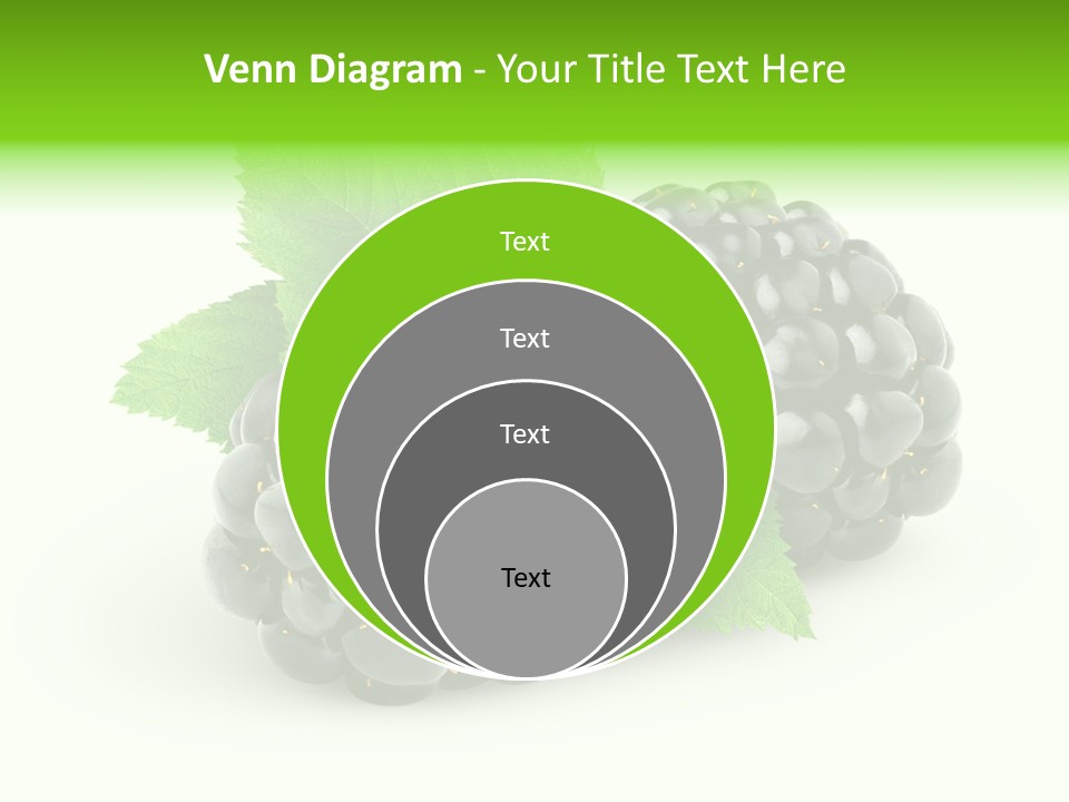 Juicy Healthy Dewberry PowerPoint Template