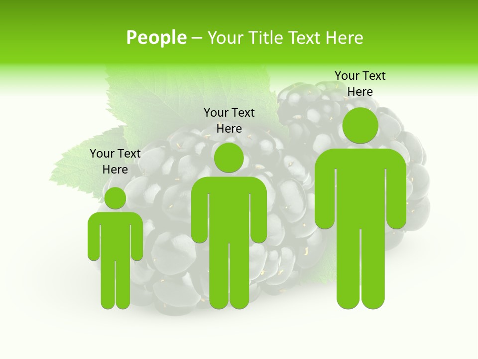 Juicy Healthy Dewberry PowerPoint Template