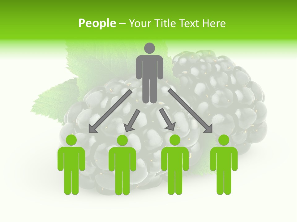 Juicy Healthy Dewberry PowerPoint Template