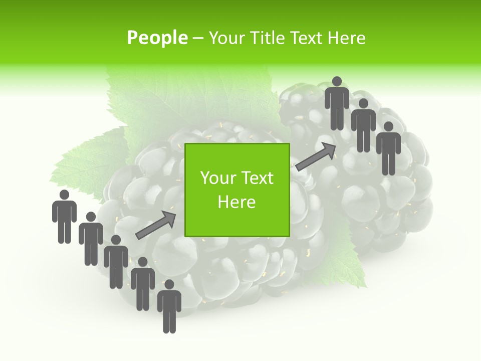 Juicy Healthy Dewberry PowerPoint Template