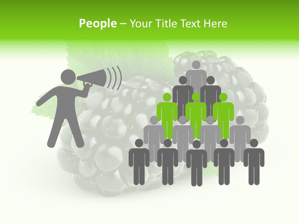 Juicy Healthy Dewberry PowerPoint Template