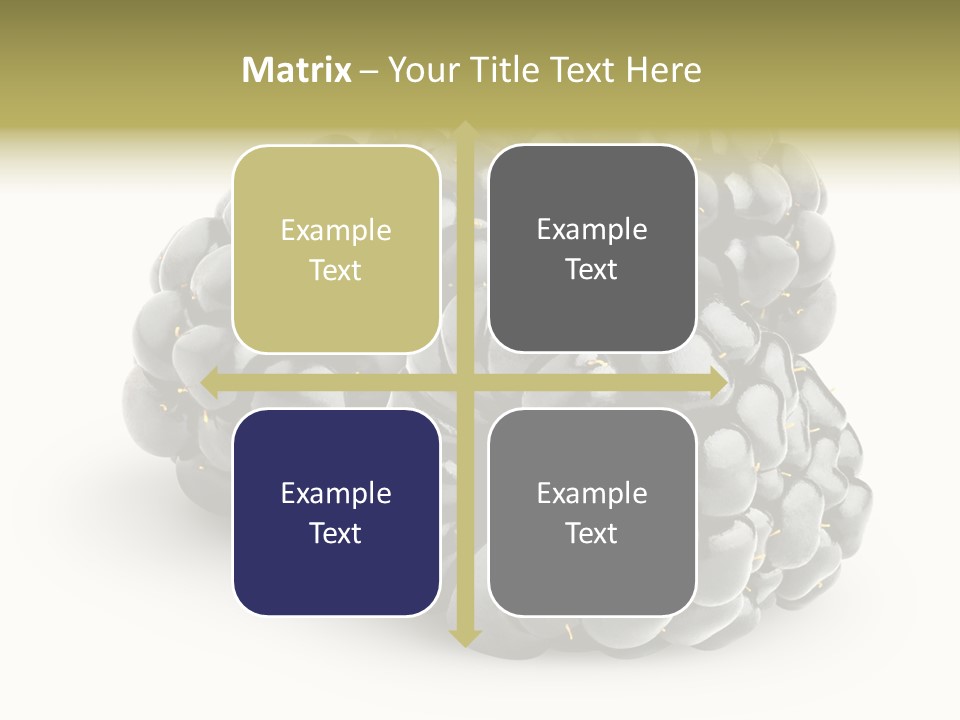 Studio Shot Shiny Macro PowerPoint Template