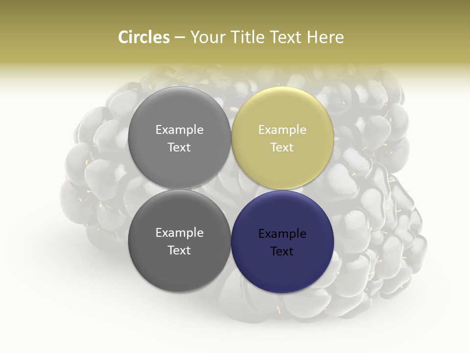 Studio Shot Shiny Macro PowerPoint Template