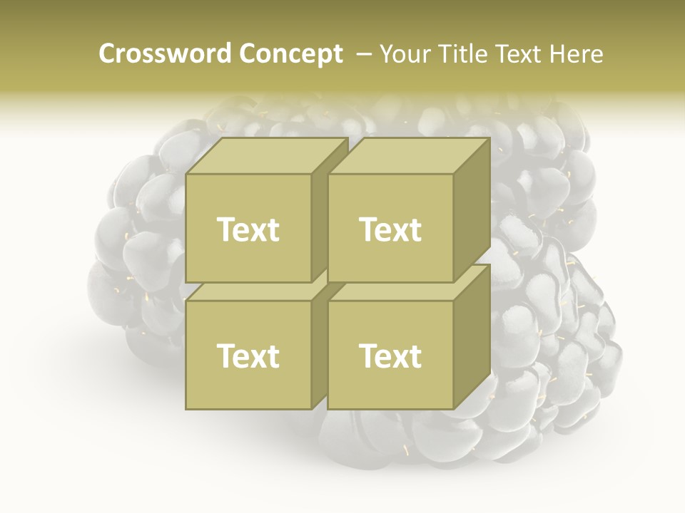 Studio Shot Shiny Macro PowerPoint Template