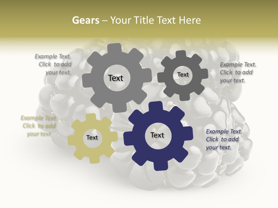 Studio Shot Shiny Macro PowerPoint Template