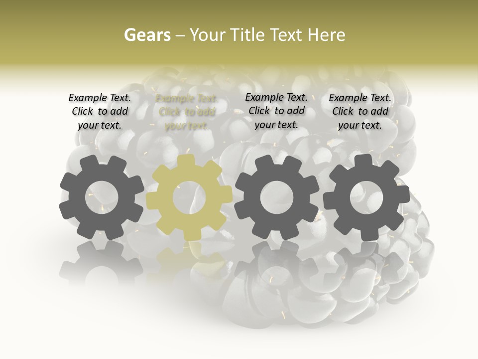 Studio Shot Shiny Macro PowerPoint Template