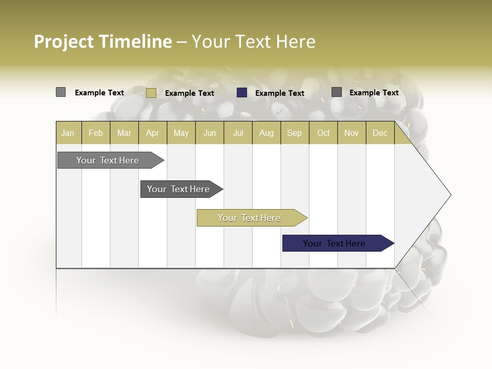 Studio Shot Shiny Macro PowerPoint Template
