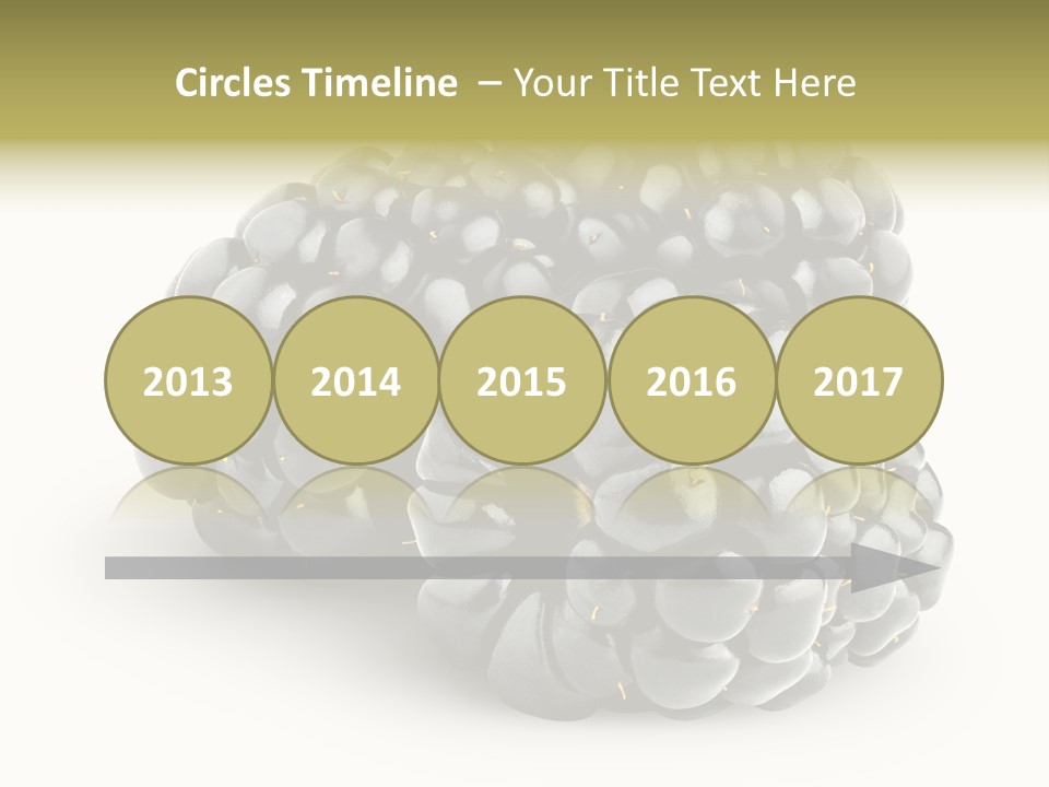 Studio Shot Shiny Macro PowerPoint Template