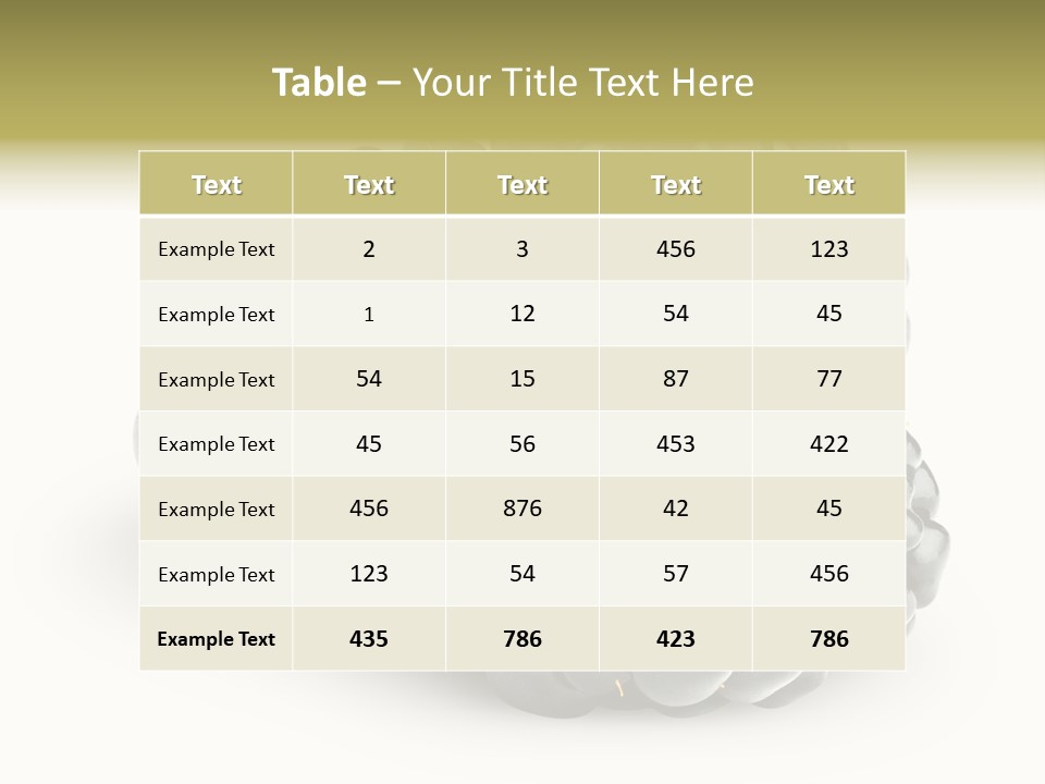 Studio Shot Shiny Macro PowerPoint Template