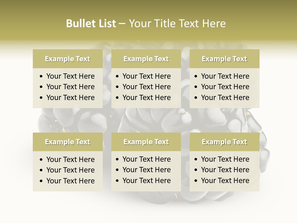 Studio Shot Shiny Macro PowerPoint Template