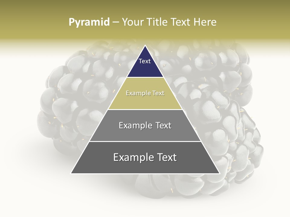 Studio Shot Shiny Macro PowerPoint Template