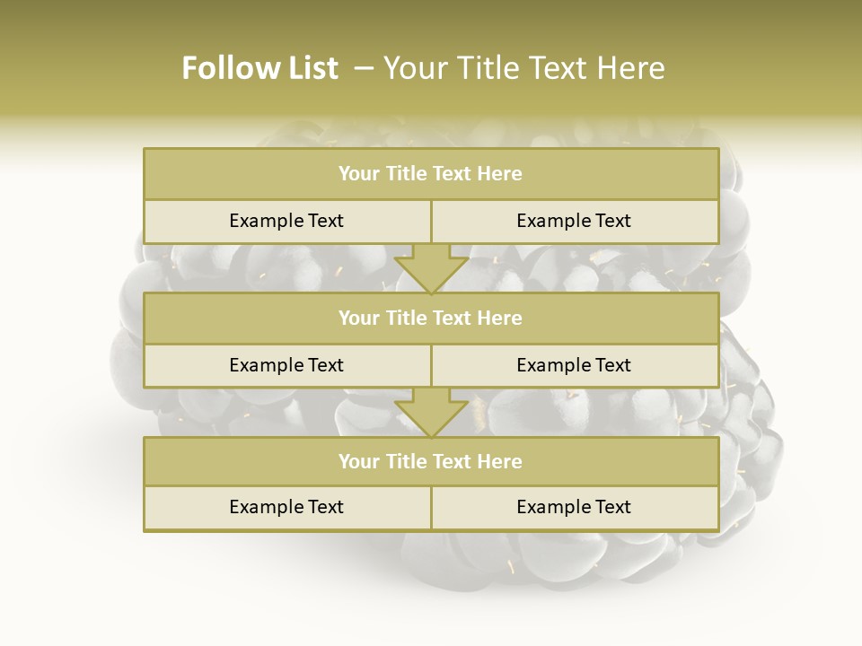 Studio Shot Shiny Macro PowerPoint Template