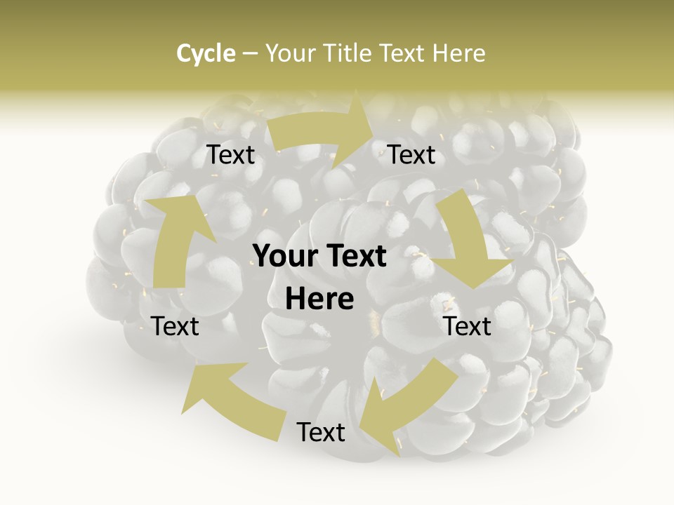 Studio Shot Shiny Macro PowerPoint Template