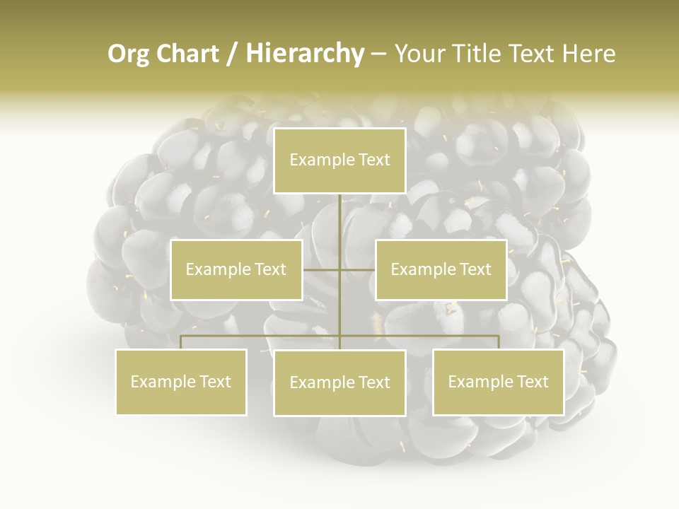 Studio Shot Shiny Macro PowerPoint Template