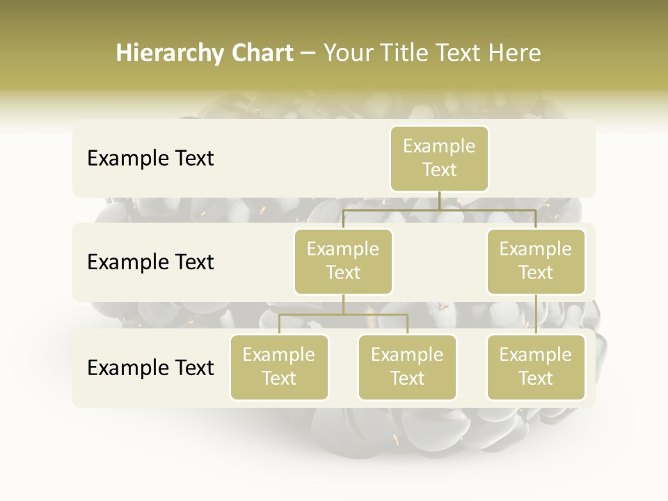 Studio Shot Shiny Macro PowerPoint Template