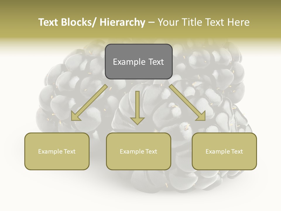 Studio Shot Shiny Macro PowerPoint Template