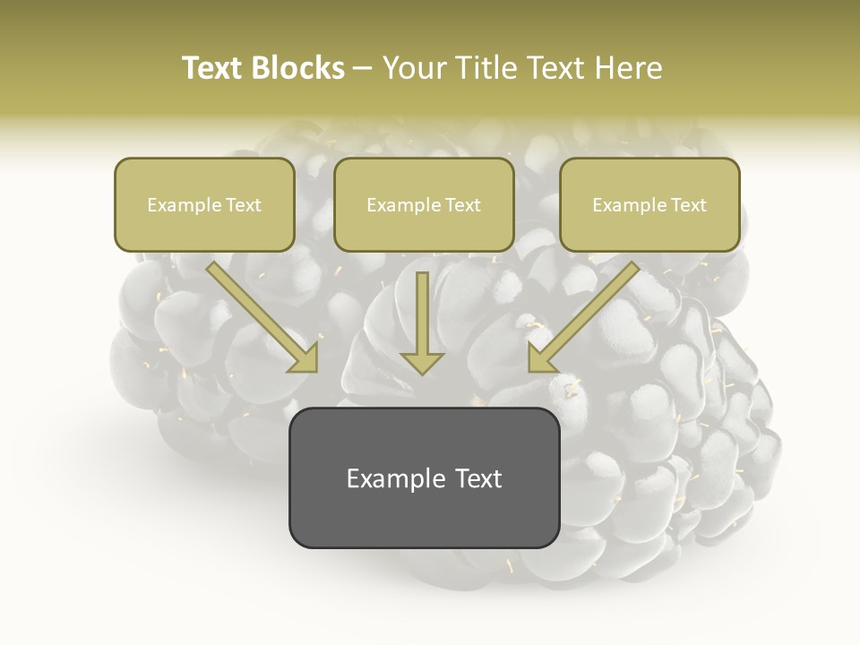 Studio Shot Shiny Macro PowerPoint Template