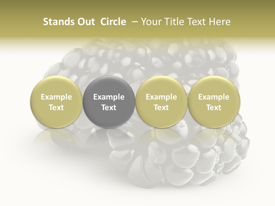 Studio Shot Shiny Macro PowerPoint Template