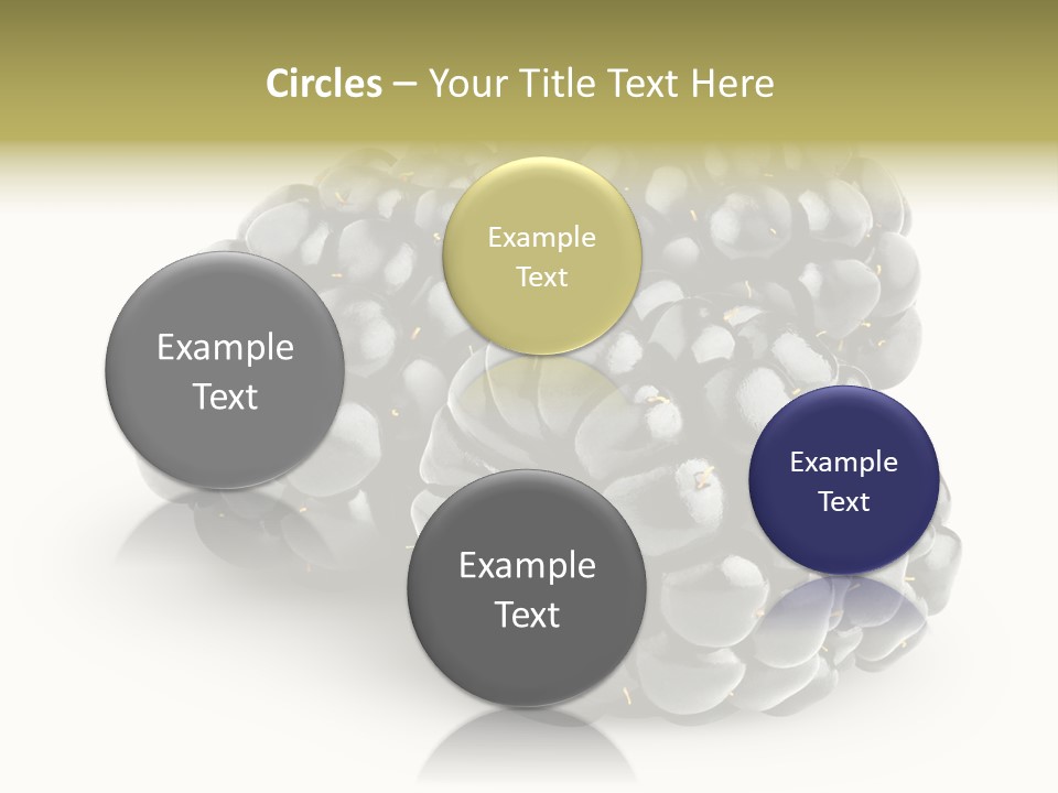 Studio Shot Shiny Macro PowerPoint Template