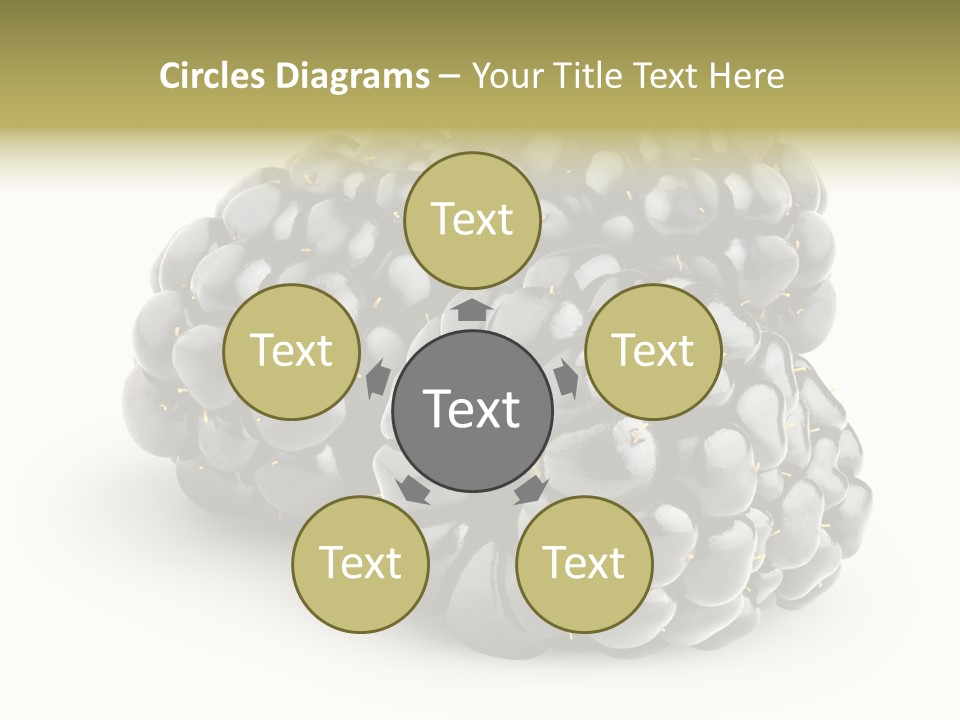 Studio Shot Shiny Macro PowerPoint Template