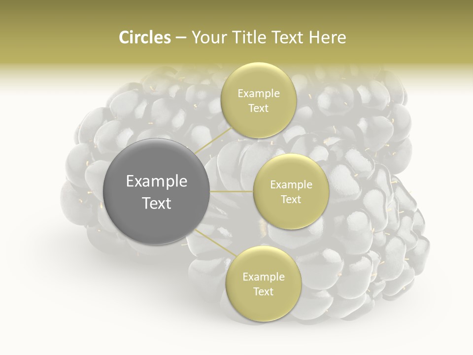 Studio Shot Shiny Macro PowerPoint Template