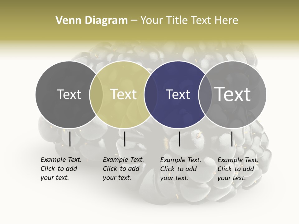Studio Shot Shiny Macro PowerPoint Template