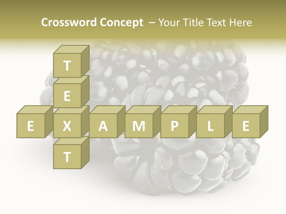 Studio Shot Shiny Macro PowerPoint Template