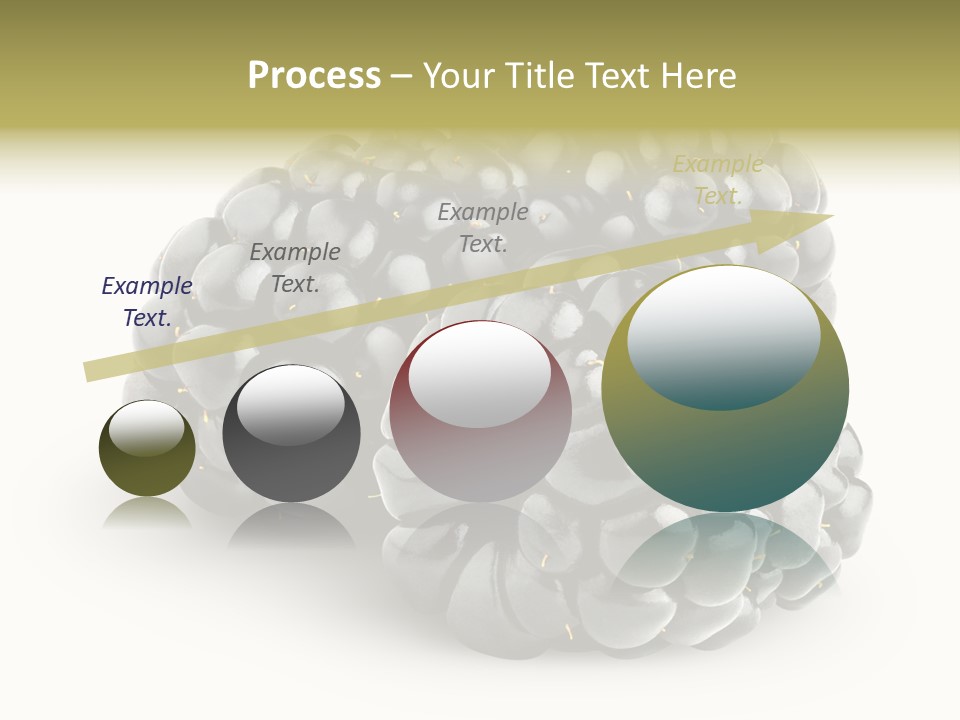 Studio Shot Shiny Macro PowerPoint Template