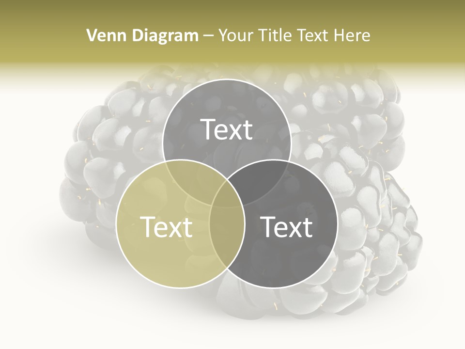 Studio Shot Shiny Macro PowerPoint Template