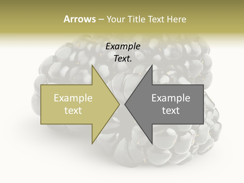 Studio Shot Shiny Macro PowerPoint Template