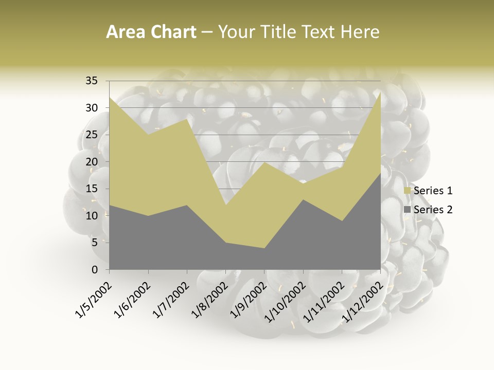Studio Shot Shiny Macro PowerPoint Template
