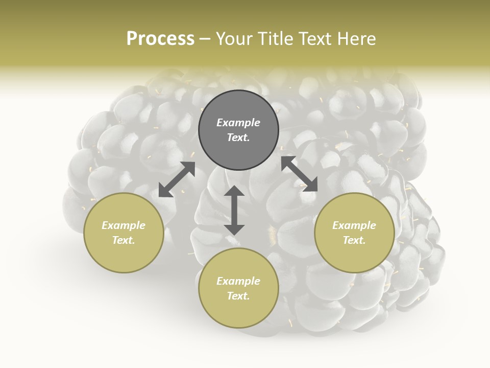 Studio Shot Shiny Macro PowerPoint Template