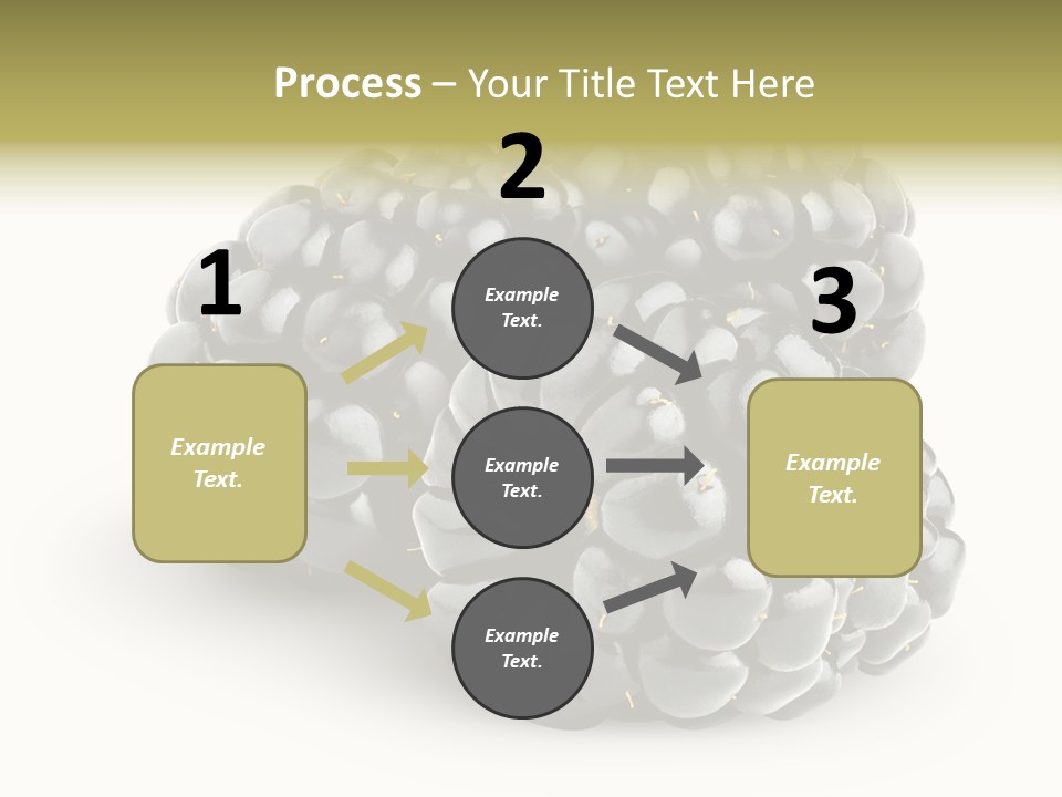 Studio Shot Shiny Macro PowerPoint Template