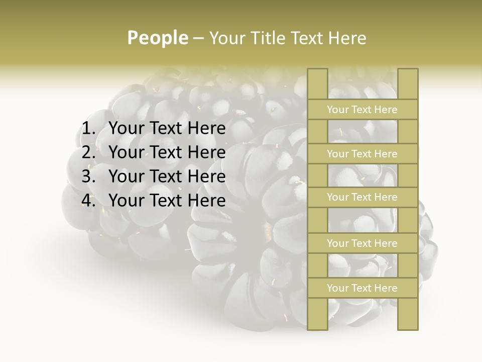 Studio Shot Shiny Macro PowerPoint Template