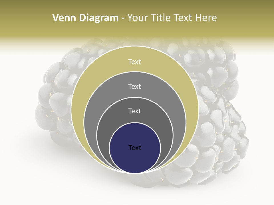 Studio Shot Shiny Macro PowerPoint Template