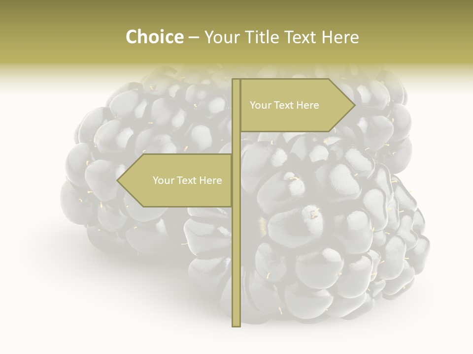 Studio Shot Shiny Macro PowerPoint Template