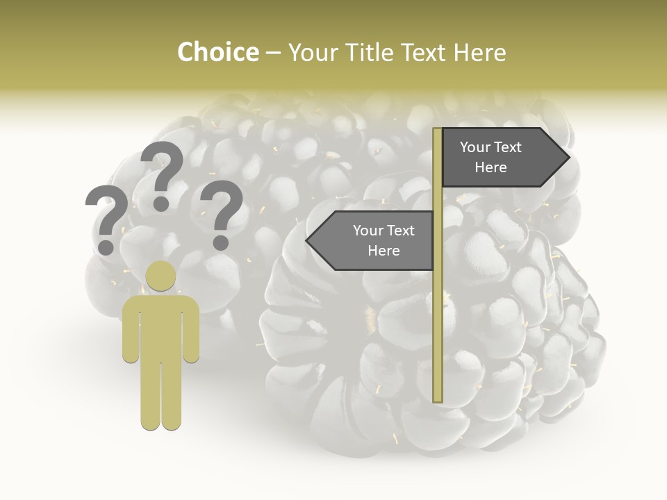 Studio Shot Shiny Macro PowerPoint Template