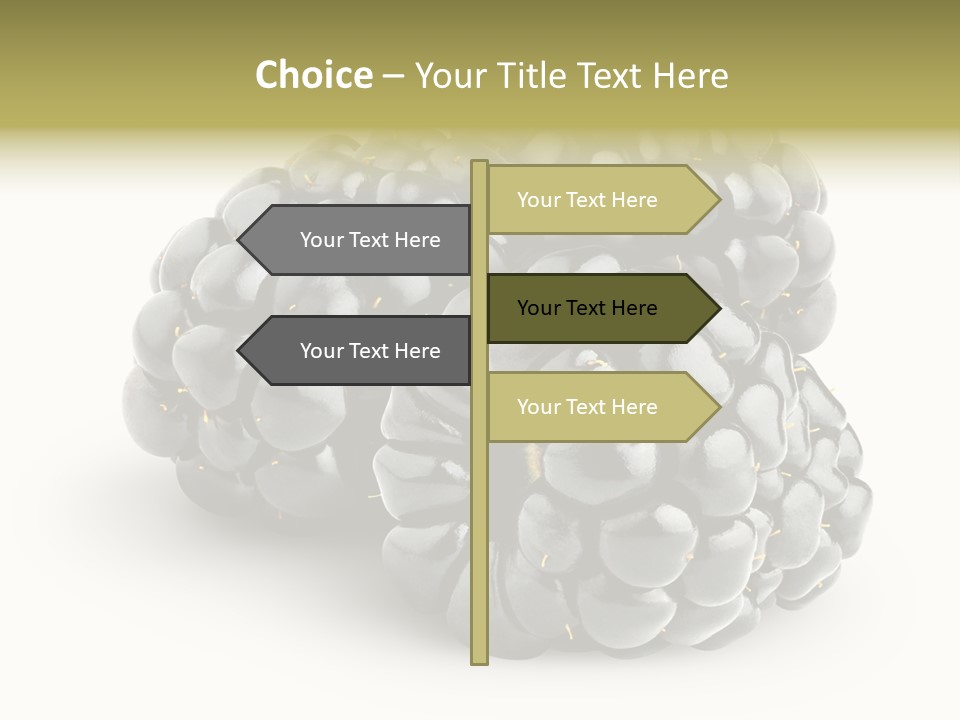 Studio Shot Shiny Macro PowerPoint Template