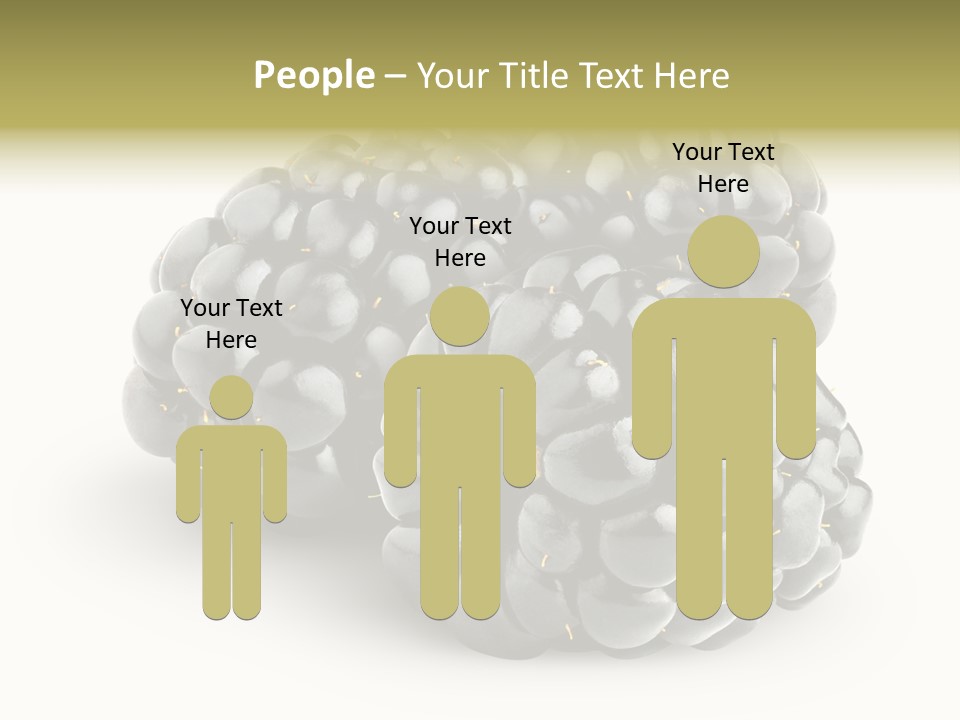 Studio Shot Shiny Macro PowerPoint Template