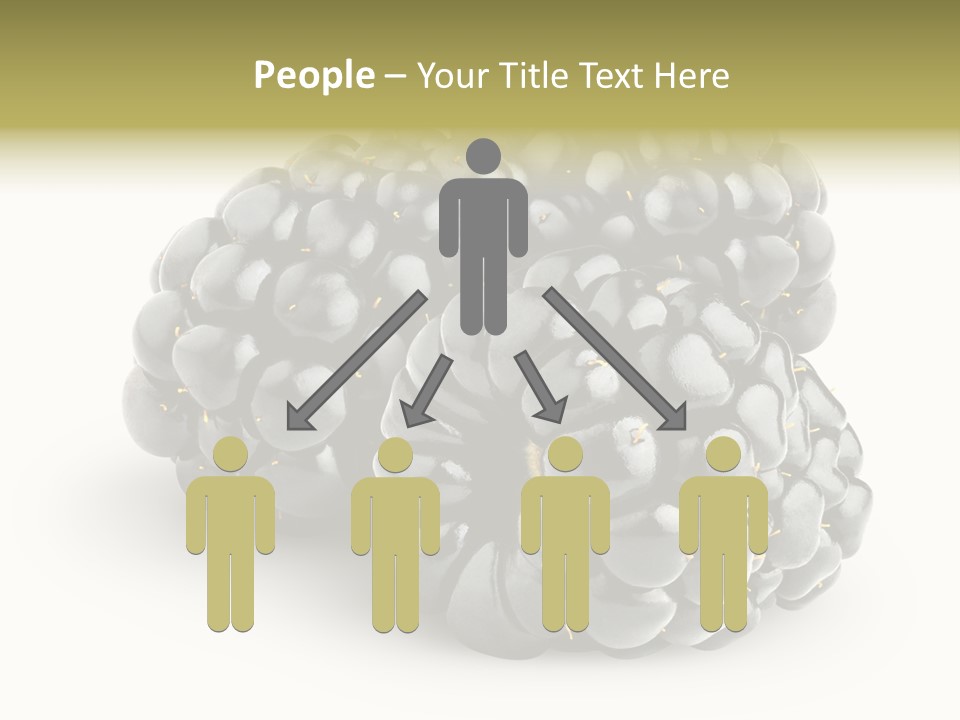 Studio Shot Shiny Macro PowerPoint Template