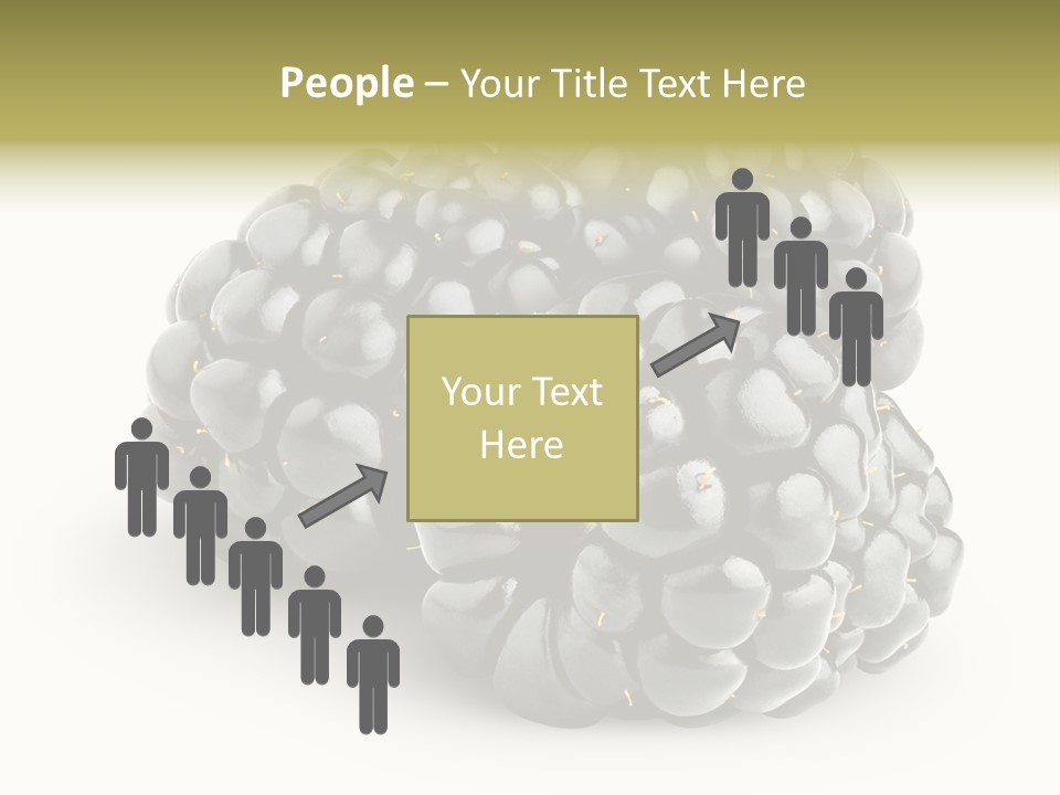 Studio Shot Shiny Macro PowerPoint Template