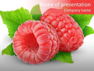 Two Leaf Fresh PowerPoint Template